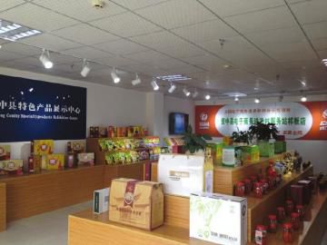 每日互动携新品亮相2025数贸会 重点展示AI产业实践和数据要素流通成果