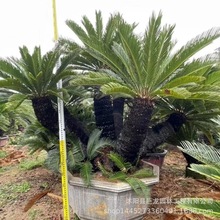 林业行业行业经济_区域经济信息_中国地区_区域 - 前瞻网